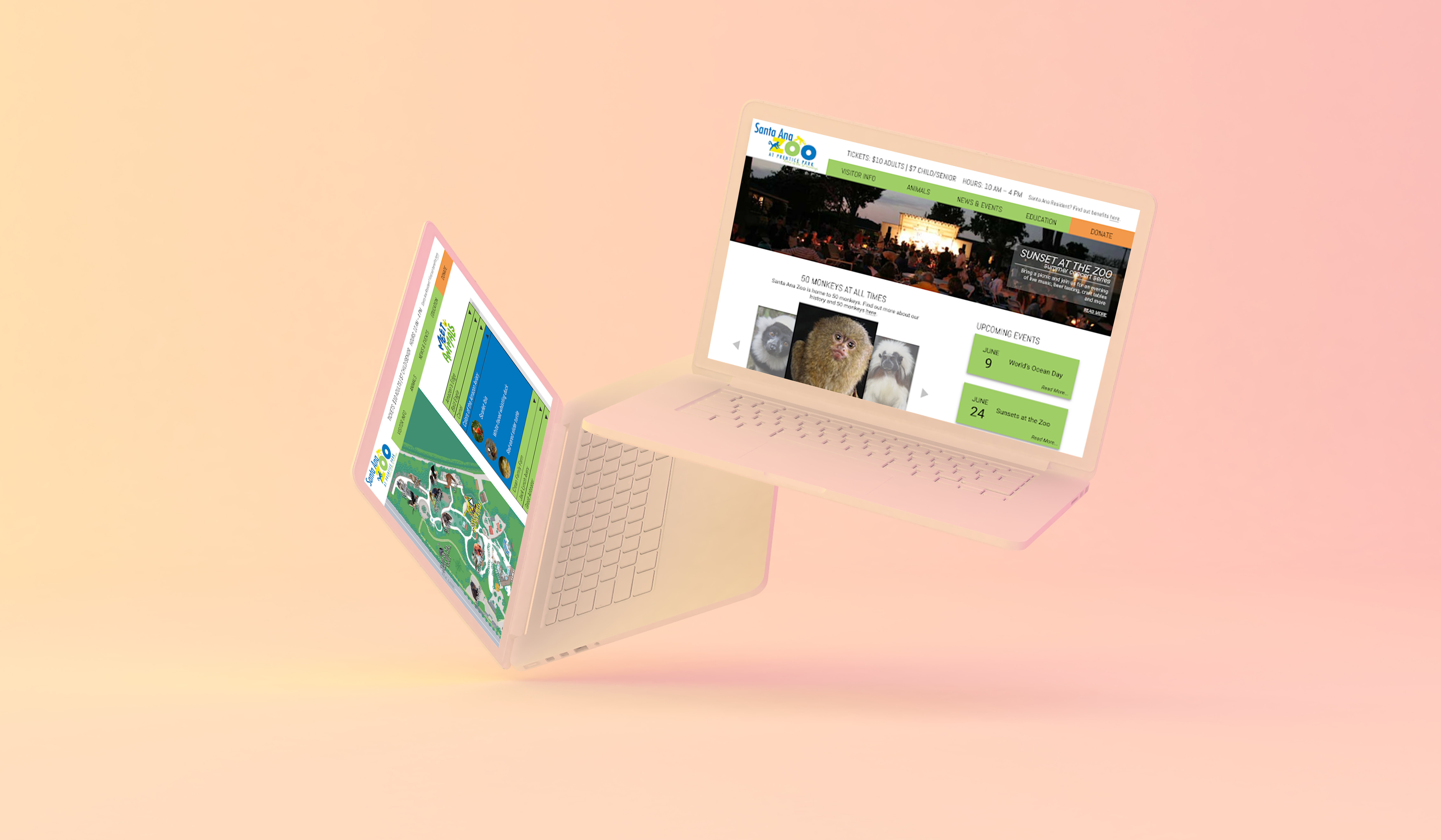 Graphic representing laptop mockup for Zoo Website Redesign Project